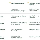 Tabla comparativa de DAO y HNMT. Un déficit de DAO puede causar síntomas gastrointestinales y urticaria.