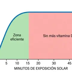 Gráfico muestra cómo tomar vitamina D: la producción es eficiente hasta los 15 minutos de sol, luego se satura.