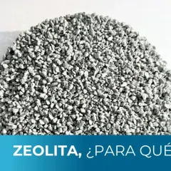 Montón de zeolita para consumo humano, con texto que pregunta "¿Para qué sirve?".