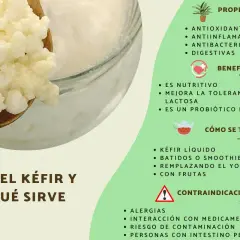 Gránulos de kéfir en una cuchara, junto a una lista de sus propiedades, beneficios y cómo consumirlo. El kéfir es un probiótico natural.