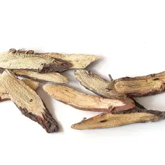 Trozo de raíz de regaliz, mostrando sus propiedades medicinales y su textura fibrosa.