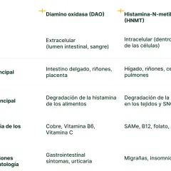 Tabla comparativa de DAO y HNMT. Un déficit de DAO puede causar síntomas gastrointestinales y urticaria.