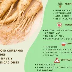 Raíces de ginseng rojo coreano. Sus propiedades incluyen ser hidratante, estimulante y revitalizante. Mejora la cognición y fortalece defensas.