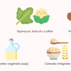 Alimentos ricos en coenzima q10: carne, pescado, espinacas, brócoli, frutos secos, aceites y cereales integrales.