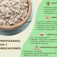 Tazón de avena en hojuelas, ideal para preparar harina de avena. La imagen detalla sus propiedades, beneficios y cómo consumirla.