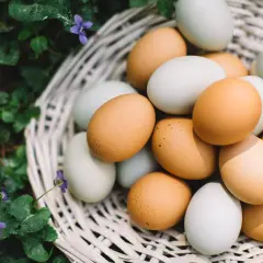Cesta de mimbre llena de huevos de gallina, fuente natural de proteina huevo. Flores silvestres moradas y hojas verdes rodean la cesta.