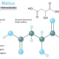 Estructura molecular del ácido málico, un AHA. Muestra su fórmula C4H6O5 y un modelo de bolas y palos con átomos de carbono, oxígeno e hidrógeno.