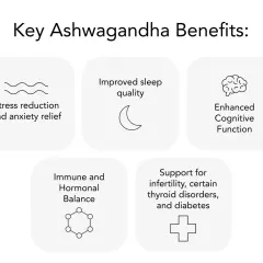 Ashwagandha KSM-66 para que sirve: reduce estrés, mejora sueño, cognición, balance hormonal e inmune, y apoya contra infertilidad, tiroides y diabetes.