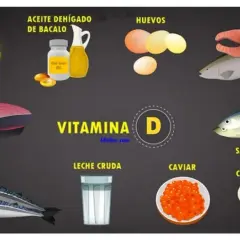 Sol, aceite de hígado de bacalao, huevos, salmón, atún, caballa, leche cruda, caviar, sardinas y champiñones son alimentos con vitamina D.
