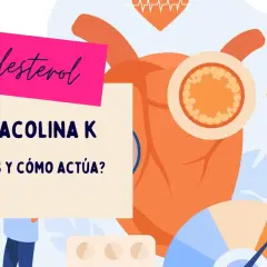 Monacolina K, un componente de la levadura de arroz rojo, ayuda a controlar el colesterol. Ilustración de corazón, LDL y HDL.