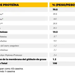 Tabla muestra que la caseína es el tipo de proteína principal en la leche, representando el 79.5% del total.