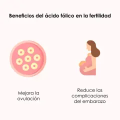 Ácido fólico para quedar embarazada: mejora ovulación, previene defectos fetales, reduce complicaciones y aumenta calidad/cantidad de esperma.