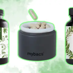 Tres frascos de probióticos y cápsulas. Descubre cuándo tomar probióticos para tu bienestar.