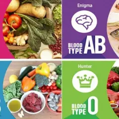 La dieta del grupo sanguíneo A (Agrarian) se basa en vegetales. El tipo AB (Enigma) combina carnes y vegetales. El tipo B (Nomad) incluye lácteos y carnes. El tipo O (Hunter) se enfoca en carnes.