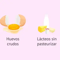 Evita pescado crudo, huevos crudos, lácteos sin pasteurizar y fruta/verdura sin lavar. Una dieta para embarazadas segura es clave.