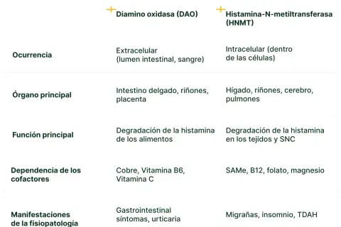 Tabla comparativa de DAO y HNMT. Un déficit de DAO puede causar síntomas gastrointestinales y urticaria.