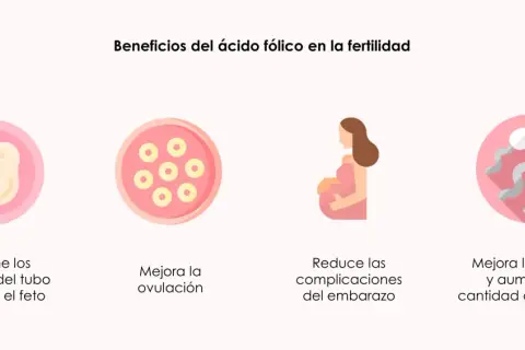 Ácido fólico para quedar embarazada: mejora ovulación, previene defectos fetales, reduce complicaciones y aumenta calidad/cantidad de esperma.
