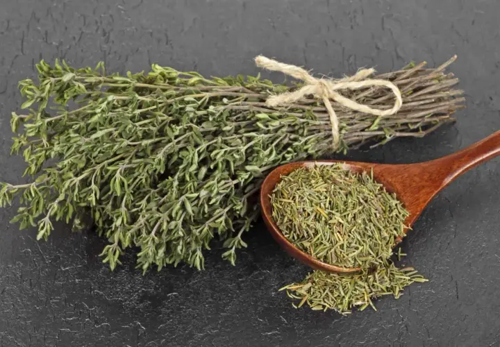 Manojo de tomillo fresco atado con cuerda y una cuchara de madera llena de tomillo seco, listo para preparar una infusión de tomillo.