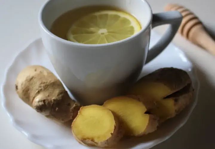 Taza de infusión de jengibre con rodaja de limón y raíz de jengibre fresca. Un palito de miel descansa al lado.