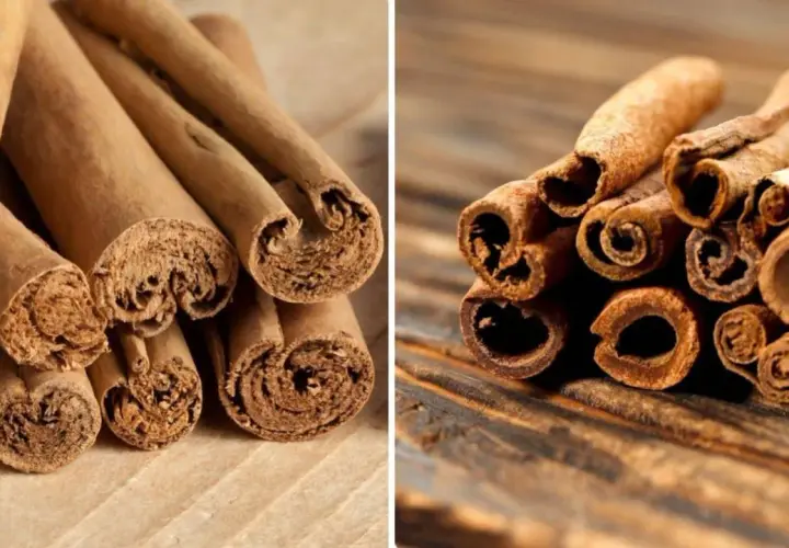 Primer plano de dos tipos de canela en rama, mostrando sus texturas y formas enrolladas.