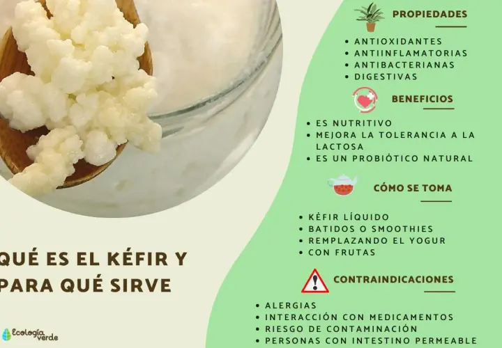 Gránulos de kéfir en una cuchara, junto a una lista de sus propiedades, beneficios y cómo consumirlo. El kéfir es un probiótico natural.