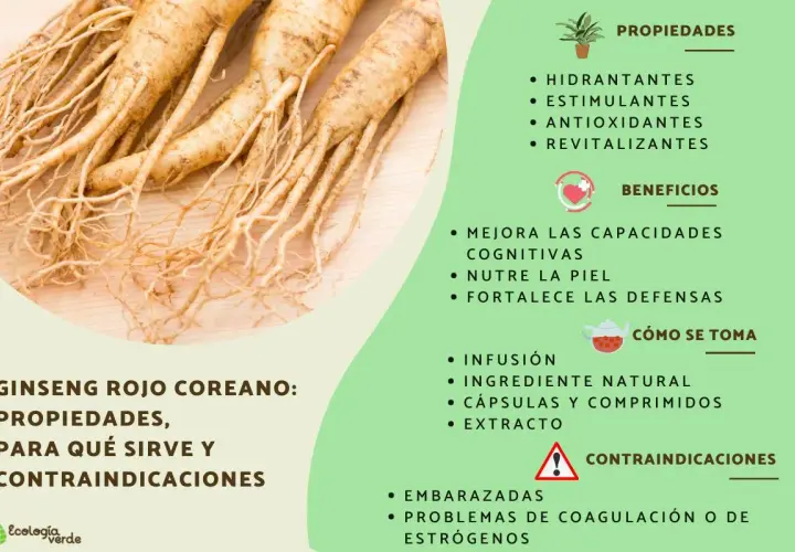 Raíces de ginseng rojo coreano. Sus propiedades incluyen ser hidratante, estimulante y revitalizante. Mejora la cognición y fortalece defensas.