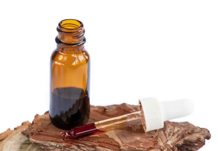 Frasco ámbar con extracto oscuro y gotero. Se exploran las **pycnogenol propiedades** en este líquido, sugerente de bienestar natural.