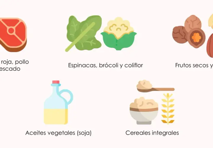Alimentos ricos en coenzima q10: carne, pescado, espinacas, brócoli, frutos secos, aceites y cereales integrales.