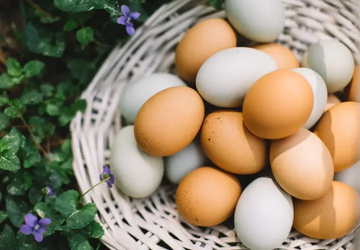 Cesta de mimbre llena de huevos de gallina, fuente natural de proteina huevo. Flores silvestres moradas y hojas verdes rodean la cesta.