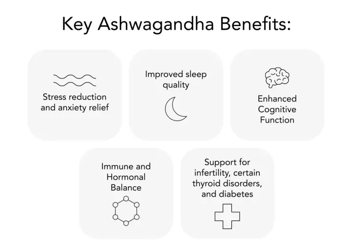 Ashwagandha KSM-66 para que sirve: reduce estrés, mejora sueño, cognición, balance hormonal e inmune, y apoya contra infertilidad, tiroides y diabetes.