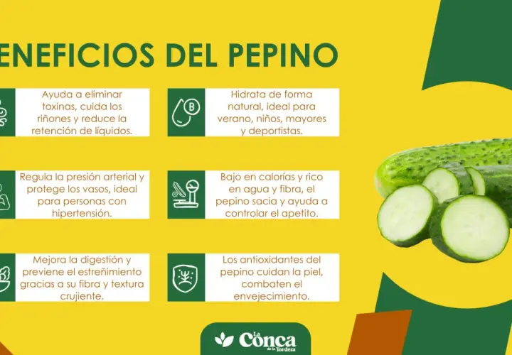 Descubre los beneficios del pepino: hidrata, depura, regula la presión, mejora la digestión y cuida la piel. ¡Un aliado natural!