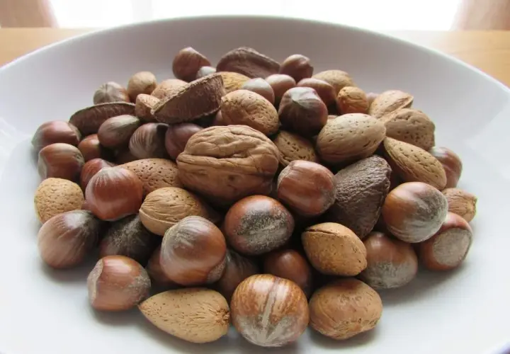 Un cuenco lleno de frutos secos variados: almendras, avellanas, nueces y anacardos. ¡Cuidado, los frutos secos engordan si abusas de ellos!