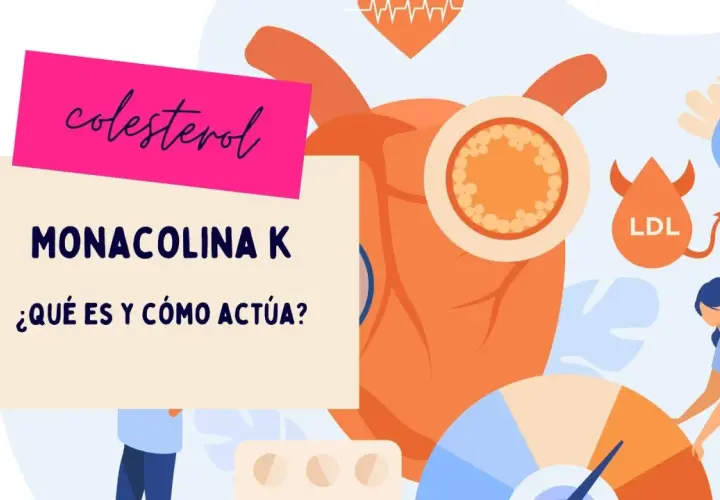 Monacolina K, un componente de la levadura de arroz rojo, ayuda a controlar el colesterol. Ilustración de corazón, LDL y HDL.