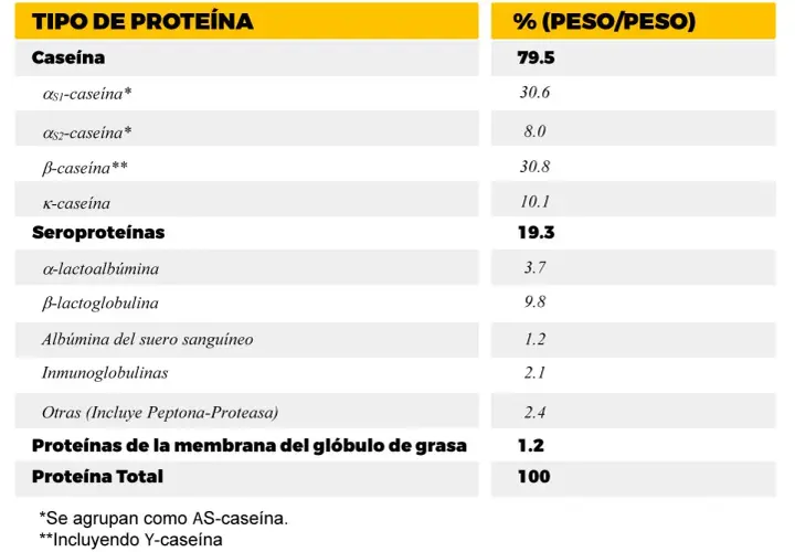 Tabla muestra que la caseína es el tipo de proteína principal en la leche, representando el 79.5% del total.
