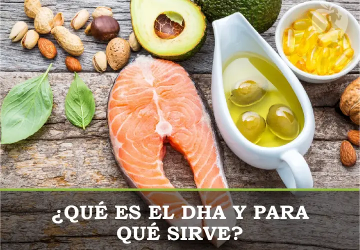 Salmón, aguacate, frutos secos y aceite de oliva, fuentes de dha. Descubre qué es y para qué sirve.