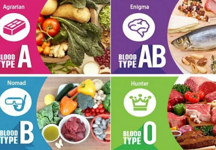 La dieta del grupo sanguíneo A (Agrarian) se basa en vegetales. El tipo AB (Enigma) combina carnes y vegetales. El tipo B (Nomad) incluye lácteos y carnes. El tipo O (Hunter) se enfoca en carnes.