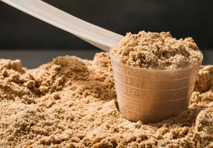 Un scoop de proteina listo para tu batido post-entreno. Polvo fino y listo para mezclar.