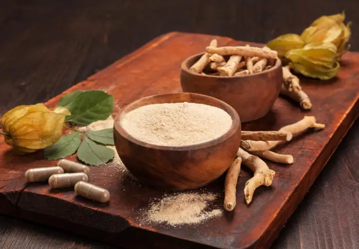 Raíces, polvo y cápsulas de ashwagandha. Considera las ashwagandha contraindicaciones antes de su uso.
