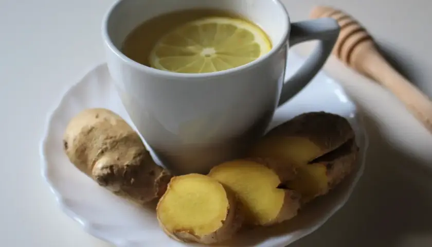 Taza de infusión de jengibre con rodaja de limón y raíz de jengibre fresca. Un palito de miel descansa al lado.