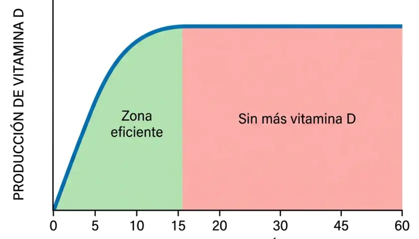 Gráfico muestra cómo tomar vitamina D: la producción es eficiente hasta los 15 minutos de sol, luego se satura.