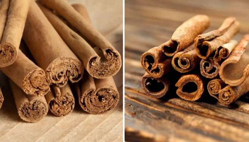 Primer plano de dos tipos de canela en rama, mostrando sus texturas y formas enrolladas.