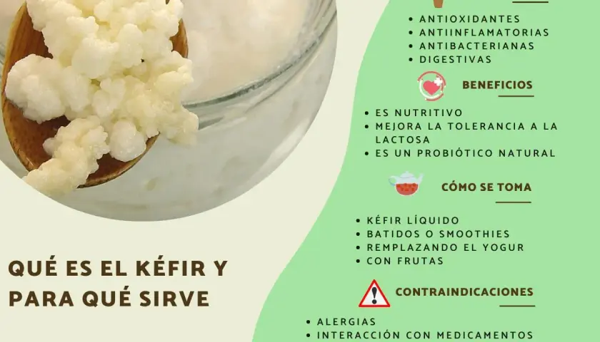 Gránulos de kéfir en una cuchara, junto a una lista de sus propiedades, beneficios y cómo consumirlo. El kéfir es un probiótico natural.