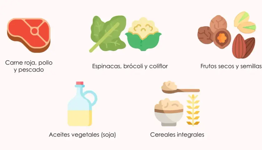 Alimentos ricos en coenzima q10: carne, pescado, espinacas, brócoli, frutos secos, aceites y cereales integrales.