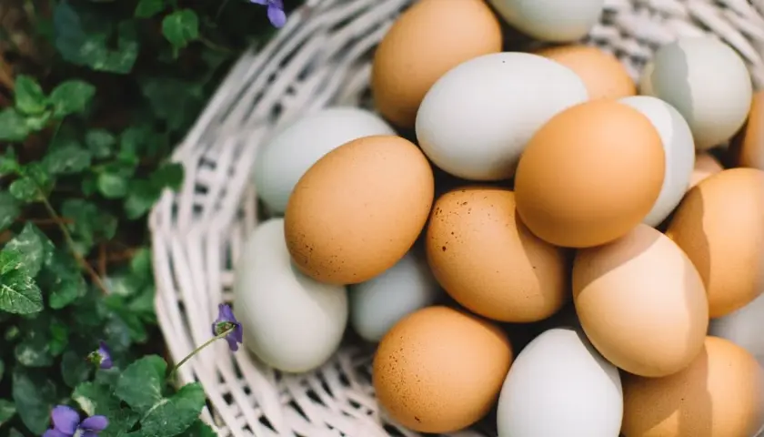 Cesta de mimbre llena de huevos de gallina, fuente natural de proteina huevo. Flores silvestres moradas y hojas verdes rodean la cesta.