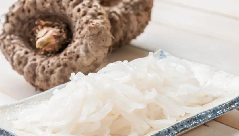 Raíz de konjac que es: un tubérculo grande y fibroso junto a un plato de fideos translúcidos hechos de konjac.