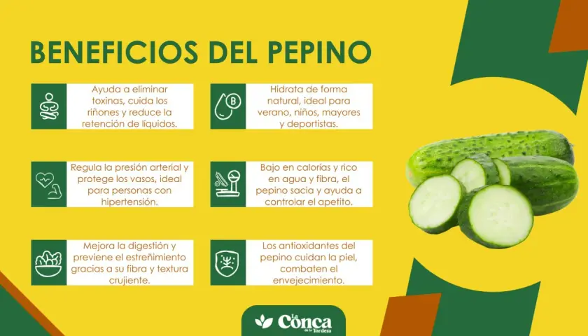 Descubre los beneficios del pepino: hidrata, depura, regula la presión, mejora la digestión y cuida la piel. ¡Un aliado natural!