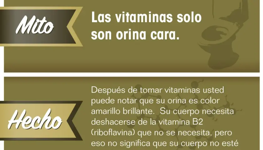 El mito de que las vitaminas son orina cara se desmiente. La vitamina B2 (riboflavina) puede tornar la orina amarilla brillante, pero el cuerpo la elimina si no la necesita, sin afectar la absorción de otros nutrientes.