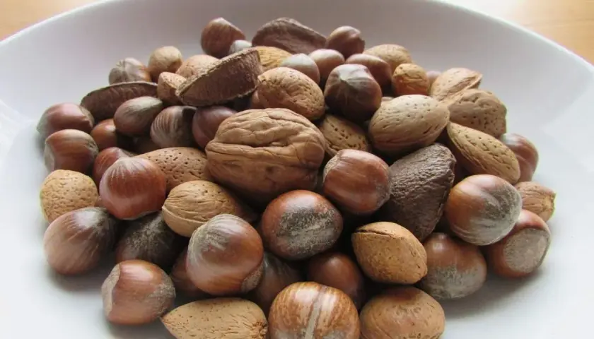 Un cuenco lleno de frutos secos variados: almendras, avellanas, nueces y anacardos. ¡Cuidado, los frutos secos engordan si abusas de ellos!