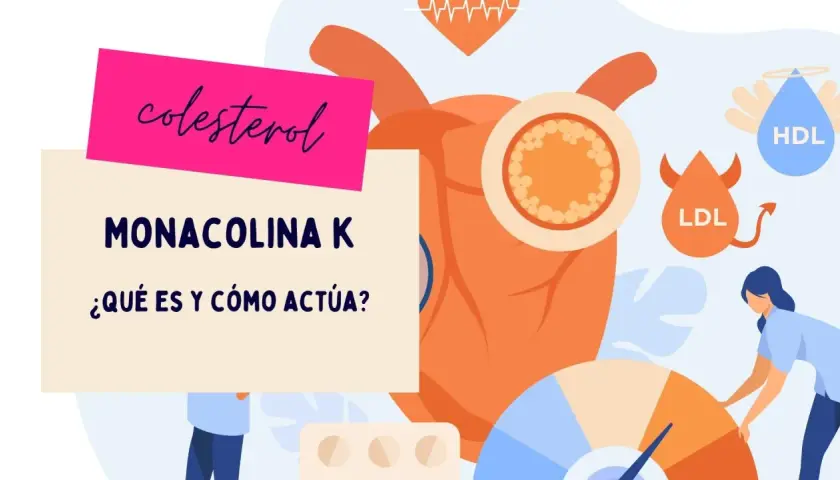 Monacolina K, un componente de la levadura de arroz rojo, ayuda a controlar el colesterol. Ilustración de corazón, LDL y HDL.