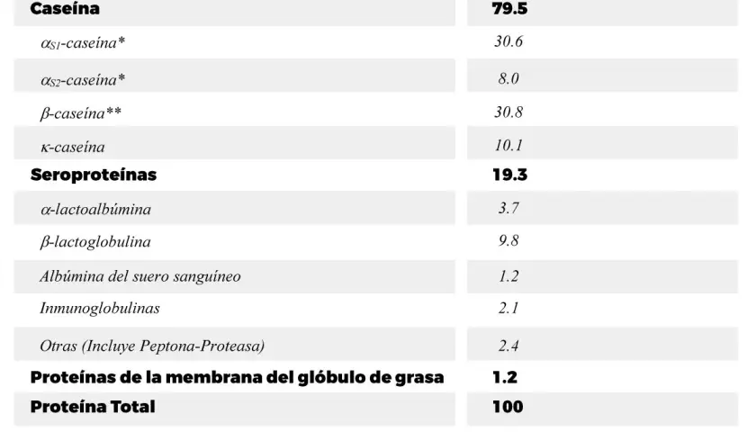 Tabla muestra que la caseína es el tipo de proteína principal en la leche, representando el 79.5% del total.